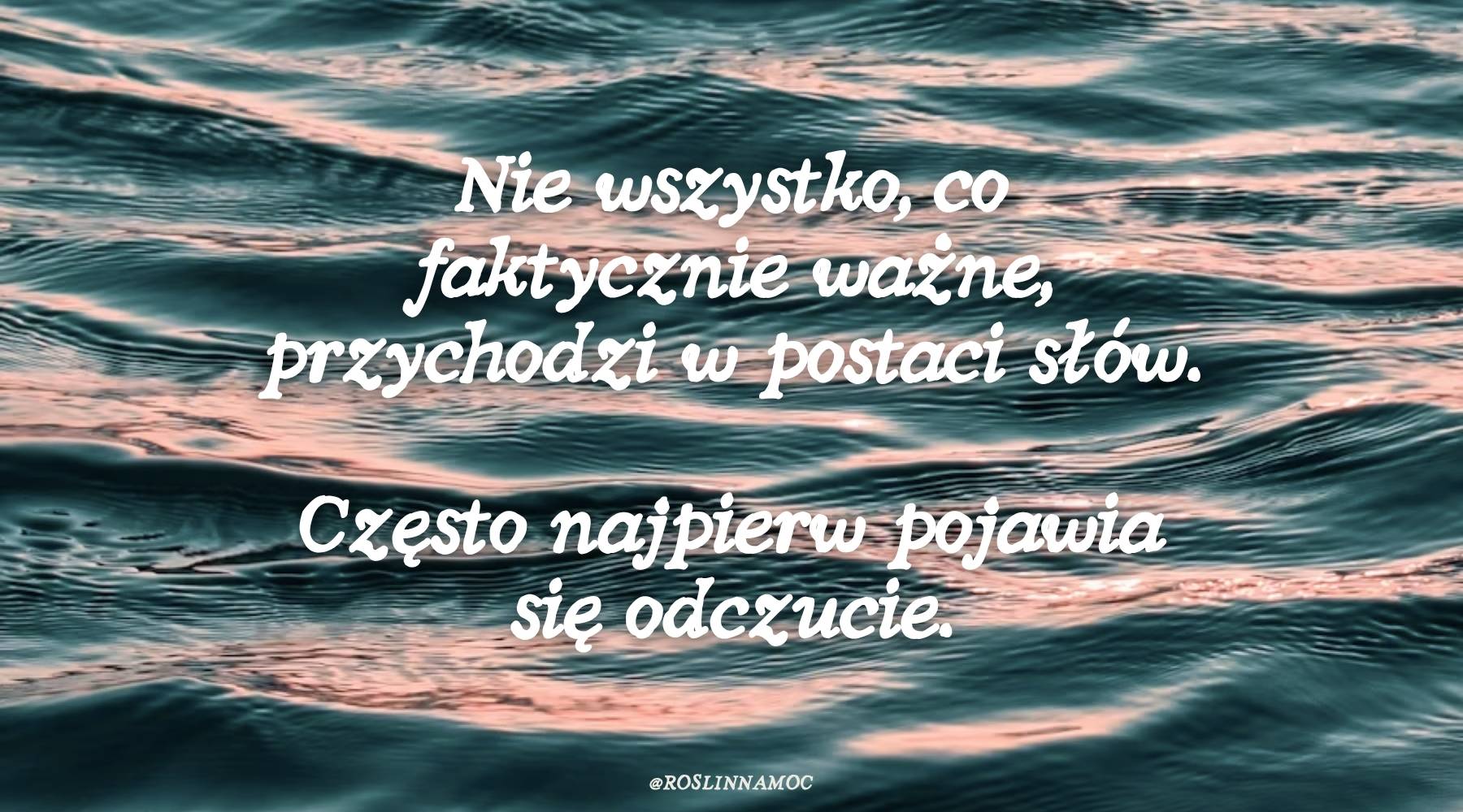 nów w raku 2026