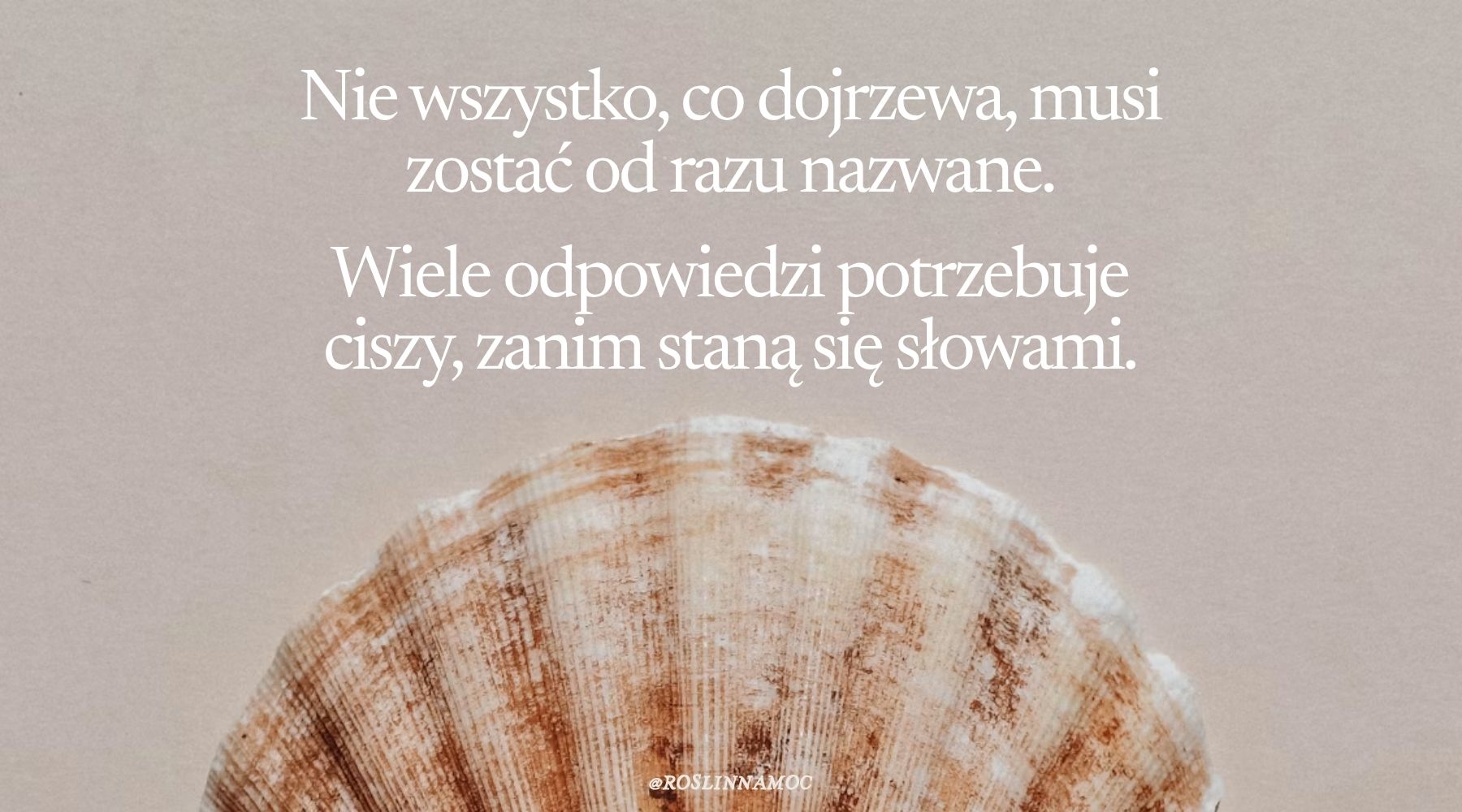 nów w raku