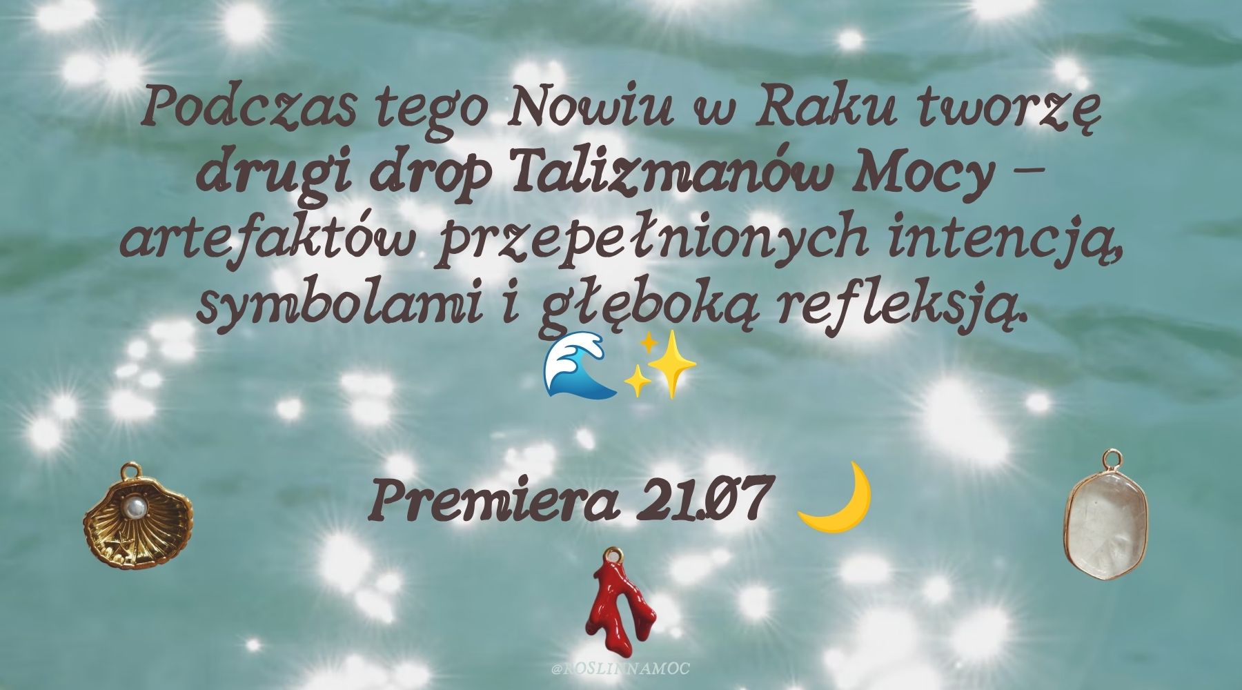 4-nowwraku26-roslinnamocpl