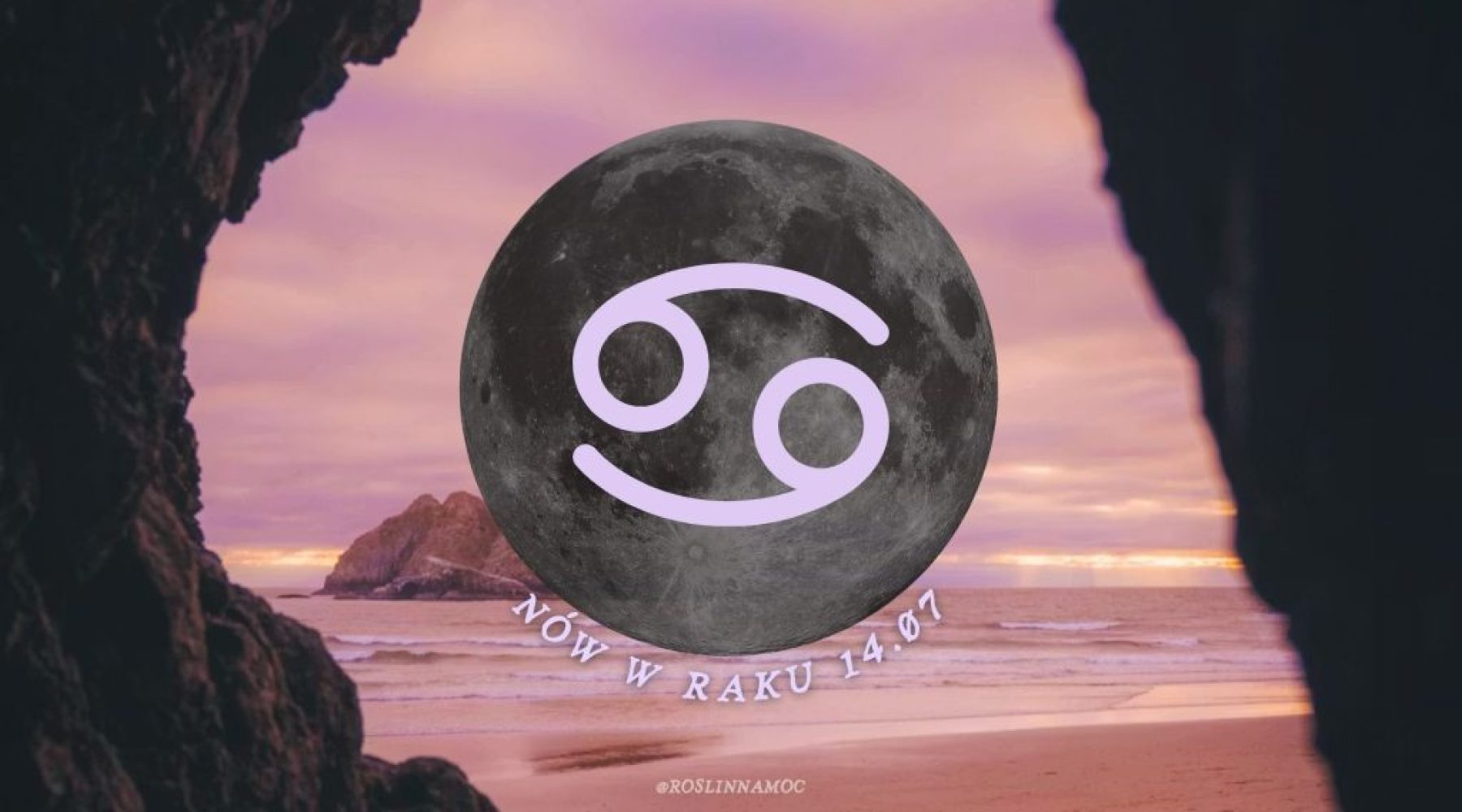 nowwraku26-roslinnamocpl
