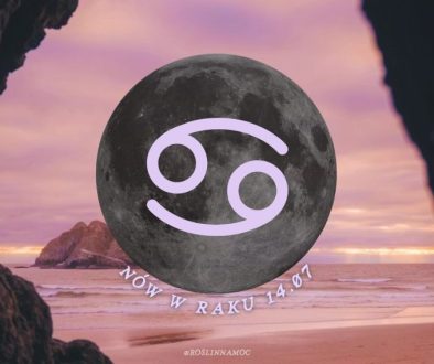 nowwraku26-roslinnamocpl