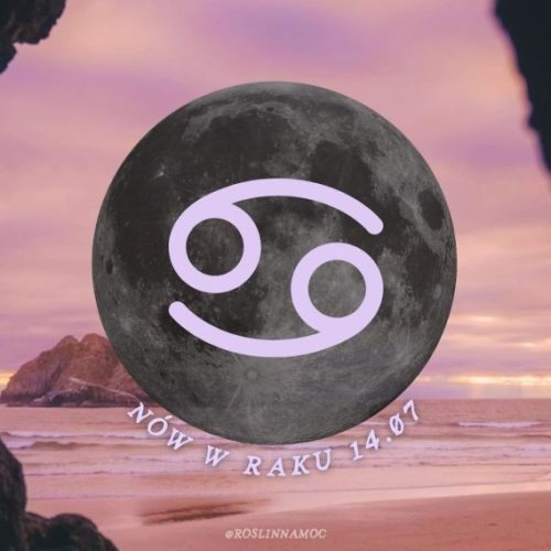 nowwraku26-roslinnamocpl